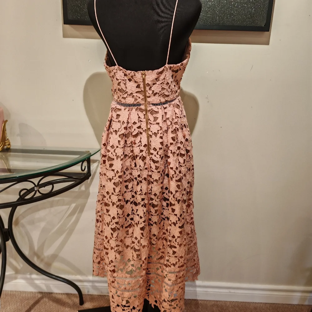 Self-Portrait Blush Pink Lace Midi Dress - Picture 14 of 16